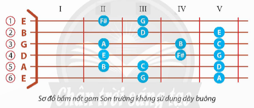 BÀI 2: ĐÀN TIẾT ĐIỆU CHACHACHA VỚI HỢP ÂM CHẶN TRÊN GIỌNG SON TRƯỞNG