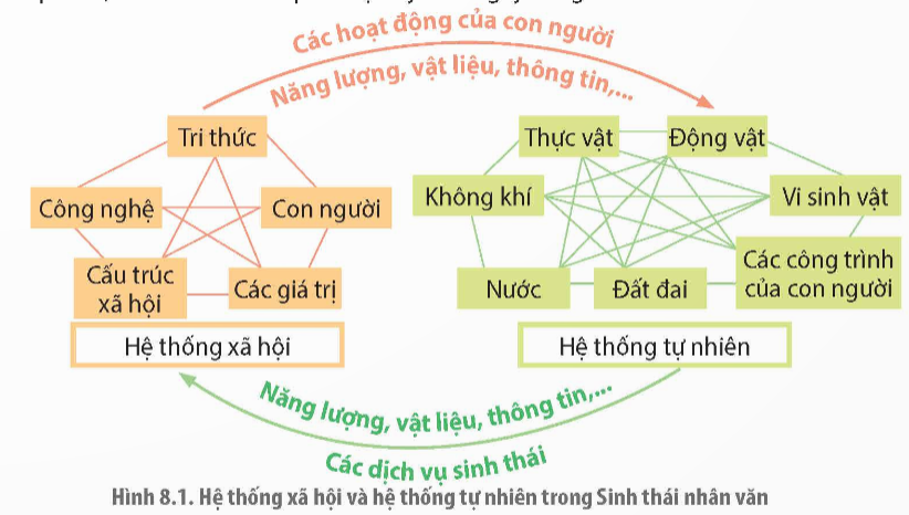 CHUYÊN ĐỀ 3. SINH THÁI NHÂN VĂN