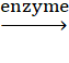 BÀI 28: TINH BỘT VÀ CELLULOSE