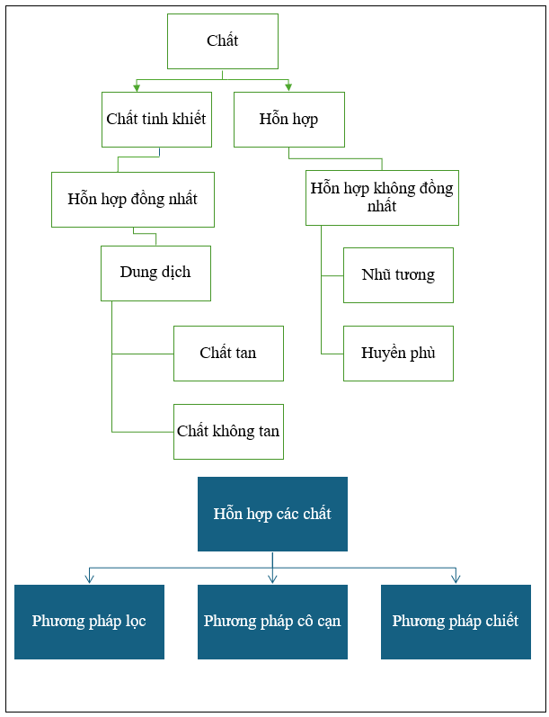 ÔN TẬP CHỦ ĐỀ 5