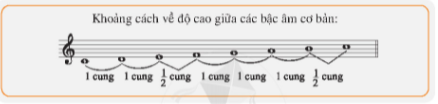 Tiết 3: Luyện đọc các nốt của hợp âm Đô trưởng; Bài đọc nhạc số 6 Hòa tấu nhạc cụ