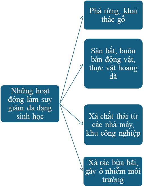 BÀI 33: ĐA DẠNG SINH HỌC