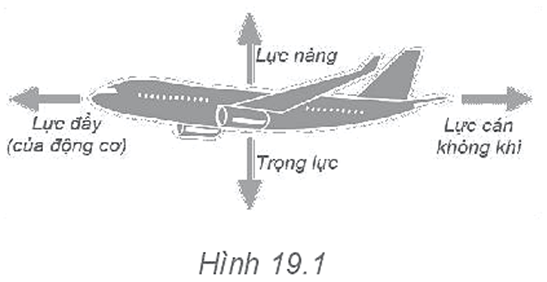 BÀI 19: LỰC CẢN VÀ LỰC NÂNG