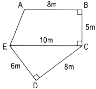 PHIẾU HỌC TẬP 1BÀI 77: EM ÔN LẠI NHỮNG GÌ ĐÃ HỌC?1. Một mảnh vườn hình chữ nhật có chiều dài 35 m, chiều rộng bằng 3/5 chiều dài. Ở giữa vườn người ta xây một cái bể hình tròn bán kính 2m. Tính diện tích phần đất còn lại của mảnh vườn đó……………………………………………………………………………………………………………………………………………………………………………………………………………………………………………………………………………………………………………………………………………………………………………………………………………………2. Một căn phòng hình hộp chữ nhật có chiều dài 9m, chiều rộng kém chiều dài 3m và chiều cao dài 4m. Người ta cần quét vôi tường và trần nhà trong căn phòng đó. Hỏi diện tích cần quét vôi là bao nhiêu, biết tổng diện tích các cửa và cửa sổ là 11,25m²?……………………………………………………………………………………………………………………………………………………………………………………………………………………………………………………………………………………………………………………………………………………………………………………………………………………3. Một ô tô dự định chạy từ tỉnh A sang tỉnh B lúc 16h nhưng:- Nếu chạy với vận tốc 60km/h thì ô tô đến B lúc 15h.- Nếu chạy với vận tốc 40 km/h thì ô tô đến B lúc 17h.Hỏi ô tô phải chạy với vận tốc bao nhiêu để đến B đúng 16h.……………………………………………………………………………………………………………………………………………………………………………………………………………………………………………………………………………………………………………………………………………………………………………………………………………………PHIẾU HỌC TẬP 2