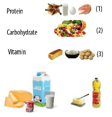 BÀI 15: MỘT SỐ LƯƠNG THỰC, THỰC PHẨM