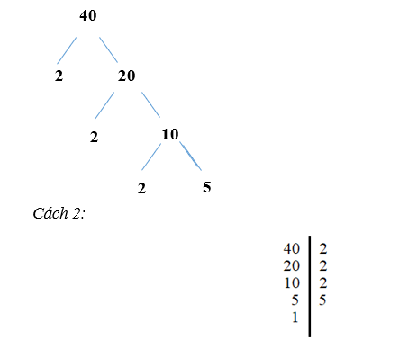 Tech12h