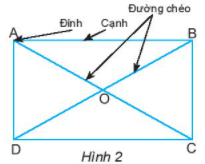 TIẾT 49 + 50 + 51 + 52 – BÀI 2: : HÌNH CHỮ NHẬT. HÌNH THOI. HÌNH BÌNH HÀNH. HÌNH THANG CÂN