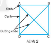 TIẾT 46 + 47 + 48 – BÀI 1: HÌNH VUÔNG - TAM GIÁC ĐỀU -  LỤC GIÁC ĐỀU.