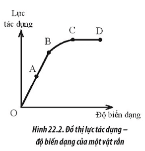 CHỦ ĐỀ 5: BÀI 2: SỰ BIẾN DẠNG 