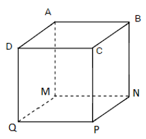 CHỦ ĐỀ 6: HÌNH HỘP CHỮ NHẬT – HÌNH LẬP PHƯƠNG – HÌNH TRỤ