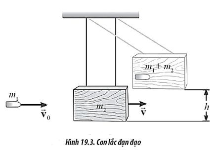 BÀI 19: CÁC LOẠI VA CHẠM