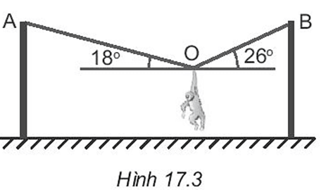 BÀI 11: MỘT SỐ LỰC TRONG THỰC TIỄN