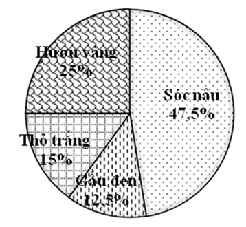 CHỦ ĐỀ 5: TỈ SỐ PHẦN TRĂM