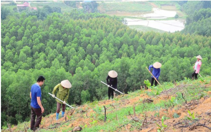 CHƯƠNG I: GIỚI THIỆU CHUNG VỀ LÂM NGHIỆP