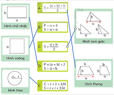 CHỦ ĐỀ 8: ÔN TẬP CUỐI NĂM