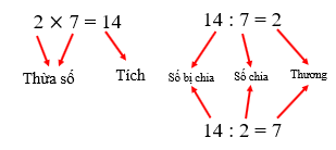 CHỦ ĐỀ 8: ÔN TẬP CUỐI NĂM