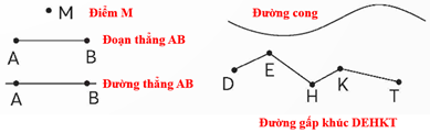 CHỦ ĐỀ 8: ÔN TẬP CUỐI NĂM