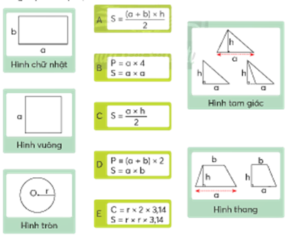 CHỦ ĐỀ 8: ÔN TẬP CUỐI NĂM