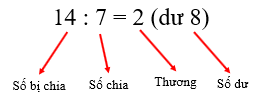 CHỦ ĐỀ 8: ÔN TẬP CUỐI NĂM