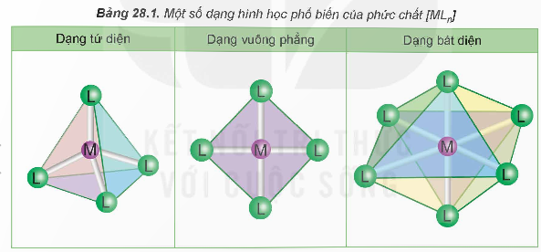 BÀI 28. SƠ LƯỢC VỀ PHỨC CHẤT