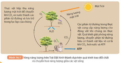 CHƯƠNG V: NĂNG LƯỢNG VỚI CUỘC SỐNG