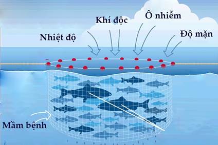 BÀI 14. BẢO VỆ MÔI TRƯỜNG VÀ NGUỒN LỢI THUỶ SẢN