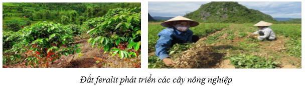 BÀI 12: VẤN ĐỀ PHÁT TRIỂN NÔNG NGHIỆP(2 tiết)