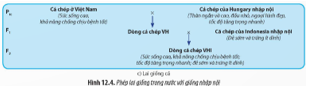 BÀI 12: THÀNH TỰU CHỌN, TẠO GIỐNG 