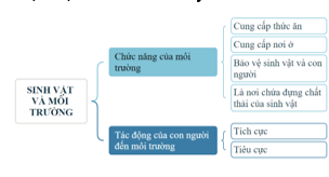 BÀI 30: ÔN TẬP CHỦ ĐỀ SINH VẬT VÀ MÔI TRƯỜNG(1 tiết)