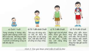 BÀI 23: CÁC GIAI ĐOẠN PHÁT TRIỂN CHÍNH CỦA CON NGƯỜI(3 tiết)