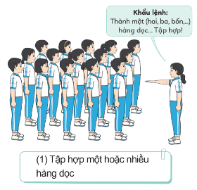 BÀI 2: BÀI TẬP PHỐI HỢP ĐỘI NGŨ HÀNG DỌC, BIẾN ĐỔI ĐỘI HÌNH HÀNG DỌC, HÀNG NGANG