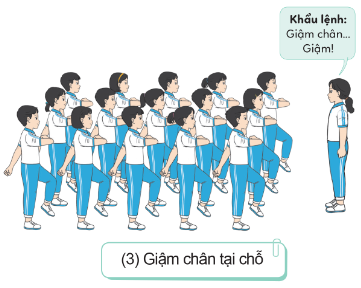 BÀI 2: BÀI TẬP PHỐI HỢP ĐỘI NGŨ HÀNG DỌC, BIẾN ĐỔI ĐỘI HÌNH HÀNG DỌC, HÀNG NGANG