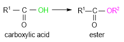 CHỦ ĐỀ 1: ESTER – LIPID 