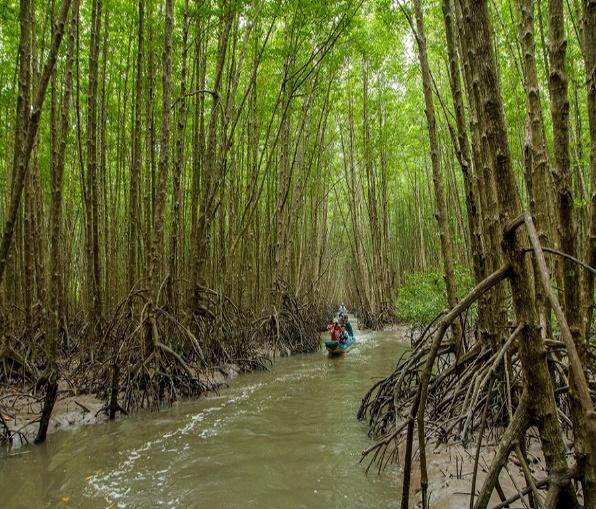 BÀI 21: VÙNG ĐỒNG BẰNG SÔNG CỬU LONG