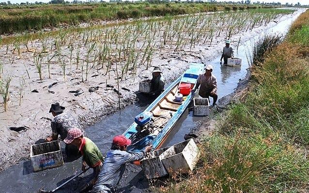 BÀI 22: THỰC HÀNH: PHÂN TÍCH TÁC ĐỘNG CỦA BIẾN ĐỔI KHÍ HẬU ĐỐI VỚI ĐỒNG BẰNG SÔNG CỬU LONG