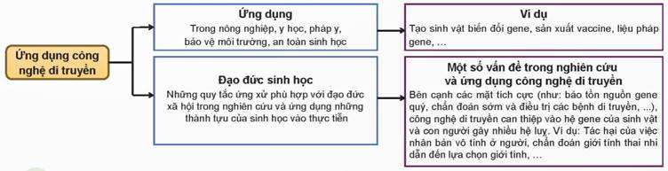 ÔN TẬP CHỦ ĐỀ 11