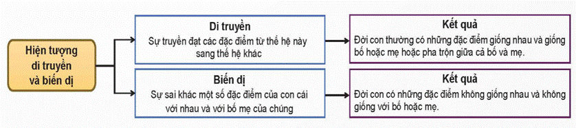 ÔN TẬP CHỦ ĐỀ 11