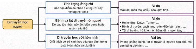 ÔN TẬP CHỦ ĐỀ 11