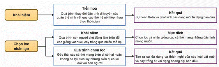 ÔN TẬP CHỦ ĐỀ 12