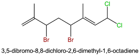 BÀI 15. DẪN XUẤT HALOGEN