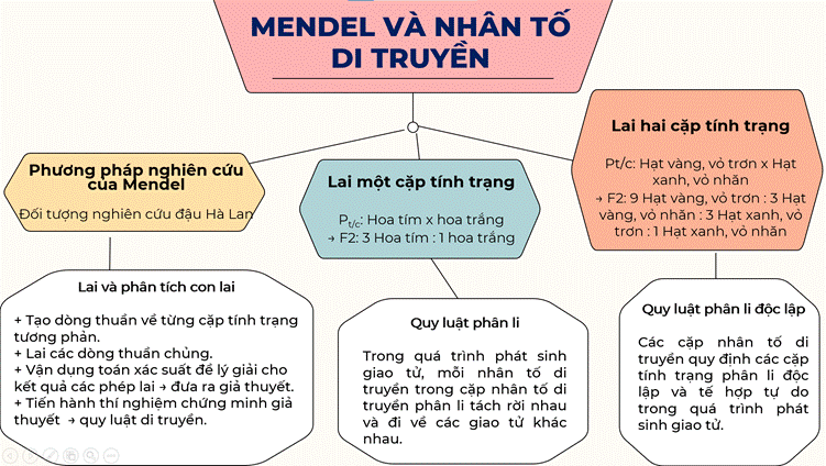 ÔN TẬP CHỦ ĐỀ 11