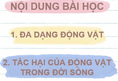 PHẦN 1: SOẠN GIÁO ÁN WORD KHTN 6 (SINH HỌC) CHÂN TRỜI SÁNG TẠOBÀI 31: ĐỘNG VẬTI. MỤC TIÊU:1. Kiến thức: - Sau khi học xong bài này, HS:Phân biệt được hai nhám động vật không xương sống và động vật có xương sống. Lấy được ví dụ minh hoa.Nhận biết được các nhóm động vật không xương sống trong tự nhiên: Ruột khoang, Thân mềm, Chân khớp. Gọi được tên một số đại diện điển hình.Nhận biết được các nhóm động vật có xương sống trong tự nhiên: (Lưỡng cư, Bò sát, Chim, Thú (Động vật có vú). Gọi được tên một số đại diện điển hình của các nhóm.Nêu được một số tác hại của động vật trong đời sống.2. Năng lực- Năng lực chung: Tự chủ và tự học: Chủ động, tích cực thực hiện các nhiệm vụ của bản thần khi tìm hiểu về đa dạng động vật và vai trò của các nhóm động vậtGiao tiếp và hợp tác: Tập hợp nhóm theo đúng yêu cầu, nhanh và đảm bảo trật tự; Xác định nội dung hợp tác nhóm trao đổi về đặc điểm của các nhóm động vật và vai trò của chúng; Thảo luận với các thành viên trong nhóm để hoàn thành nhiệm vụ học tập nhằm xác định sự đa dạng các nhóm động vật tồn tại trong tự nhiên; Nhận ra và điều chỉnh những hạn chế của bản thân khi tham gia thảo luận nhómGiải quyết vấn đề và sáng tạo: Vận dụng linh hoạt các kiến thức, kĩ năng để vẽ sơ đồ phân biệt các nhóm động vật trong tự nhiên; Giải thích được vai trò của động vật trong tự nhiên và trong đời sống.- Năng lực khoa học tự nhiênNhận thức khoa học tự nhiên: Phân biệt được hai nhóm động vật không xương sống và có xương sống; Lấy được ví dụ minh hoạ cho 2 nhóm này; Nhận biết được các nhóm động vật không xương sống và các nhóm động vật có xương sống trong tự nhiên; Gọi được tên một số đại diện điển hình của mỗi nhómTìm hiểu tự nhiên: Quan sát và nhận dạng được các đại điện thuộc các nhóm động vật không xương sống và các đại diện thuộc nhóm động vật có xương sốngNêu được tác hại của một số động vật trong đời sống Vận dụng kiến thức, kĩ năng đã học: Gọi được tên một số sinh vật điển hình của các nhóm.3. Phẩm chấtCó niềm tin yêu khoa học;Quan tâm đến nhiệm vụ của nhóm;Có ý thức hoàn thành tốt các nội dung tháo luận trong bài họcLuôn cố gắng vươn lên trong học tập;Có ý thức tìm hiểu và sẵn sàng tham gia các hoạt động tuyên truyền, bảo vệ môi trường, bảo vệ các loài động vật quý hiếm, phản đối những hành vi xâm hại thiên nhiên.II. THIẾT BỊ DẠY HỌC VÀ HỌC LIỆU 1. Đối với giáo viên: 2 . Đối với học sinh : vở  ghi, sgk, đồ dùng học tập và chuẩn bị từ trướcIII. TIẾN TRÌNH DẠY HỌCA. HOẠT ĐỘNG KHỞI ĐỘNG (MỞ ĐẦU)a. Mục tiêu: tạo hứng thú cho HS tìm hiểu về bài họcb. Nội dung: HS  quan sát SGK để tìm hiểu nội dung kiến thức theo yêu cầu của GV.c. Sản phẩm: Từ bài HS vận dụng kiến thức để trả lời câu hỏi GV đưa ra.d. Tổ chức thực hiện: Gv đặt vấn đề từ câu hỏi phần khởi động:Dẫn dắt: Thế giới động vật rất đa dạng. Có những loài động vật rất gần gũi hằng ngày tiếp xúc với chúng ta như chó, mèo, chim,…. Nhìn vào bức tranh chúng ta có thể nhận thấy rất nhiều loài động vật khác nhau.- Gv yêu cầu HS hãy quan sát tranh và kể tên các loài động vật trong hình. Em đã bao giờ nhìn thấy loài này chưa? Kể thêm một số loài động vật mà em biết. - Dẫn dắt: Chúng ta phân chia động vật thành những nhóm nào? Muốn goi tên các loài động vật cần dựa trên những tiêu chí nào?B. HÌNH THÀNH KIẾN THỨC MỚII. ĐA DẠNG ĐỘNG VẬTHoạt động 1: Phân biệt động vật không xương sống và động vật có xương sốnga. Mục tiêu: HS nhận biết và phân biệt động vật không xương sống và động vật có xương sốngb. Nội dung: HS quan sát tranh hình 31.1 và các tranh ảnh video khác để tìm hiểu nội dung kiến thức theo yêu cầu của GV.c. Sản phẩm:  HS đưa ra được câu trả lời phù hợp với câu hỏi GV đưa rad. Tổ chức thực hiện: Hoạt động của GV và HSSản phẩm dự kiến- Bước 1: GV chuyển giao nhiệm vụ học tậpGV: sử dụng phương pháp trực quan yêu cầu HS hoạt động thảo luận theo cặp, cùng suy nghĩ để tìm ra điểm khác biệt của động vật không xe sống và động vật có xương sống. Sau đó, GV gơi và định hướng cho HS thảo luận theo các nội dung trong bài:1. Quan sát hình 31.1 và chỉ ra điểm khác biệt giữa động vật không xương sống và động vật có xương sống.Câu hỏi bổ sung:* Em hãy kể tên một số đại diện thuộc nhóm động vật không xương sống và động vật có xương sống.- Bước 2: HS thực hiện nhiệm vụ học tập  + HS Hoạt động theo nhóm đôi, quan sát hình vẽ+ GV: quan sát và trợ giúp các cặp.  - Bước 3: Báo cáo kết quả hoạt động và thảo luận GV gọi HS trả lời, HS còn lại nghe và nhận xét- Bước 4: Đánh giá kết quả thực hiện nhiệm vụ học tập  GV gợi ý HS rút ra kết luận như SGK và bồ sung thêm kiến thức về đặc điểm chung của động vật: Động vật có cơ thể đa bào phân hóa thành mô, cơ quan, hệ cơ quan để đảm bảo các chức năng sống khác nhau, có lỗi sống dị dưỡng, di chuyển tích cực, thần kinh và giác quan phát triền1. Đa dạng động vậta. Phân biệt động vật không xương sống và động vật có xương sống- Tiêu chí phân biệt động vật không xương sống và động vật có xương sống là bộ xương cột sống. Động vật không xương sống chưa có xương cột sống để nâng đỡ cơ thể, đù một số nhóm đã có bộ xương ngoài tạo nên lớp áo giáp bảo vệ. Động vật có xương sống đã có xương cột sống để nâng đỡ cơ thể.+ Đại diện thuộc nhóm động vật không xương sống: giun, châu chấu, sâu,....+ Đại diện thuộc nhóm động vật có xương sống: cá, lươn, ếch, chim bổ câu, ...Hoạt động 2: Tìm hiểu các nhóm động vật không xương sống trong tự nhiêna) Mục tiêu: HS nhận biết và phân biệt được các nhóm động vật không xương sốngb. Nội dung: HS quan sát tranh hình 31.2 a đến 31.2d và các tranh ảnh, video khác để tìm hiểu nội dung kiến thức theo yêu cầu của GV.c. Sản phẩm: HS đưa ra được câu trả lời phù hợp với câu hỏi GV đưa rad. Tổ chức thực hiện: ------------------- Còn tiếp -------------------PHẦN 2: BÀI GIẢNG POWERPOINT KHTN 6 (SINH HỌC) CHÂN TRỜI SÁNG TẠOCHÀO MỪNG CÁC EM ĐẾN VỚI BUỔI HỌC NGÀY HÔM NAY!KHỞI ĐỘNGTrò chơi “Ai nhanh mắt hơn”Hãy kể tên các loài động vật, mà em biết trong bức hình trên.Ai đoán được càng nhiều sẽ nhận được một phần thưởng.BÀI 31. ĐỘNG VẬT1. ĐA DẠNG ĐỘNG VẬTQuan sát hình ảnh và chỉ ra điểm khác nhau giữa động vật không xương sống và động vật có xương sốnga. Phân biệt động vật không xương sống và động vật có xương sốngĐV không xương sống ĐV có xương sống - Chưa có xương cột sống.- Một số nhóm có bộ xương ngoài.- Các ngành đại diện: Giun, Ruột khoang, Thân mềm, Chân khớp. - Đã có xương cột sống để nâng đỡ cơ thể.- Các ngành đại diện: Cá, Lưỡng cư, Bò sát, Chim, Thú. b. Các nhóm động vật không xương sống trong tự nhiên- Rất đa dạng, gồm nhiều loài, sống ở nhiều môi trường khác nhau.- Cách phân biệt: + Kiểu đối xứng của cơ thể: tỏa tròn, hai bên,…+ Hình dạng cơ thể.+ Vỏ bọc cơ thể: vỏ đá vôi, vỏ chitin,…+ Môi trường sống: trên cạn, dưới nước, trên không.+ Cơ quan di chuyển: chân, cánh.HOẠT ĐỘNG NHÓMChia lớp thành 4 nhóm, nghiên cứu sgk và trình bày về các đại diện động vật không xương sống:RUỘT KHOANG- Là nhóm động vật đa bào bậc thấp.- Cơ thể hình trụ, có nhiều tua miệng, đối xứng toả tròn.- Đại diện: sứa, thuỷ tức, hải quỳ, san hô,...Giun- Hình dáng cơ thể đa dạng: dẹp, hình ống, phân đốt.- Cơ thể đối xứng hai bên, đã phân biệt đầu đuôi - lưng bụng.- Sống trong đất ẩm, nước, cơ thể sinh vật.- Đại diện: giun đũa, giun kim, sán lá gan,…Thân mềm- Cơ thể mềm, không phân đốt.- Thường có vỏ đá vôi bao bọc, xuất hiện điểm mắt.- Số lượng loài lớn, khác nhau về hình dạng, kích thước và môi trường sống.- Đại diện: trai, ốc, mực, hến, sò,...Chân khớp- Cấu tạo 3 phần: đầu, ngực, bụng.- Cơ quan di chuyển: chân, cánh.- Cơ thể phân đốt, đối xứng hai bên.- Bộ xương bằng chitin nâng đỡ và bảo vệ cơ thể, các đôi chân khớp động.- Là nhóm có số lượng loài đa dạng nhất, phân bố khắp nơi.- Đại diện: tôm, cua, ong, bướm,…------------------- Còn tiếp -------------------PHẦN 3: TÀI LIỆU ĐƯỢC TẶNG KÈM