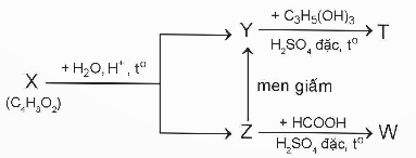 PHIẾU HỌC TẬP 1BÀI 1: ESTER - LIPIDBài 1. Viết công thức cấu tạo của các ester sau: ethyl acetate, propyl formate, methyl acrylate và ethyl benzoate.……………………………………………………………………………………………………………………………………………………………………………………………………………………………………………………………………………………………………………………………………………………………………………………Bài 2. Trong số các hợp chất hữu cơ: CH3CH2CH2OH, CH3COOH và HCOOCH3; hợp chất hữu cơ nào có nhiệt độ sôi thấp nhất? Giải thích.……………………………………………………………………………………………………………………………………………………………………………………………………………………………………………………………………………………………………………………………………………………………………………………Bài 3. Giải thích vì sao chất béo không tan trong nước?…………………………………………………………………………………………………………………………………………………………………………………………………………………………………………………………………………………………………………………………………………………………………………………………………………………………………………………………………………………Bài 4. Hydrogen hoá hoàn toàn 1 mol triglyceride X cần 6 mol H2 (Ni, to) thu được chất hữu cơ Y. Thuỷ phân hoàn toàn Y bằng dung dịch NaOH, đun nóng thu được glycerol và sodium stearate. Hỏi phân tử khối của X là bao nhiêu?       ………………………………………………………………………………………………………………………………………………………………………………………………………………………………………………………………………………………………………………………………………………………………………………………………………………………………………………………………………………… PHIẾU HỌC TẬP 2