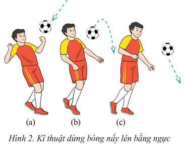 BÀI 2: KĨ THUẬT DỪNG BÓNG BẰNG NGỰC