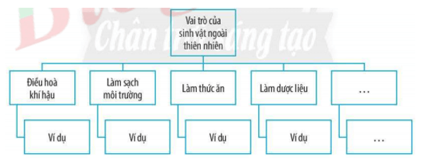 BÀI 34: TÌM HIỂU SINH VẬT NGOÀI THIÊN NHIÊN