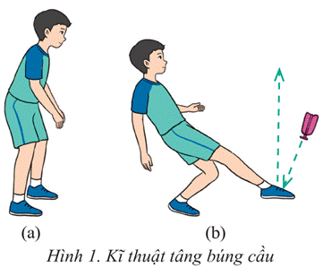 CHỦ ĐỀ 3: ĐÁ CẦU