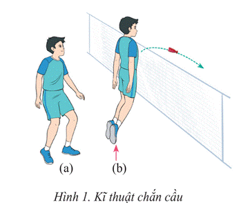 BÀI 3: KĨ THUẬT CHẮN CẦU