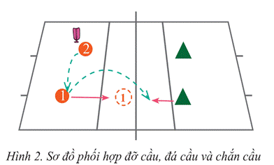 BÀI 3: KĨ THUẬT CHẮN CẦU