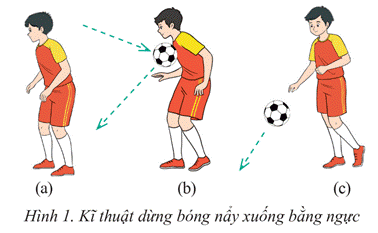 BÀI 2: KĨ THUẬT DỪNG BÓNG BẰNG NGỰC