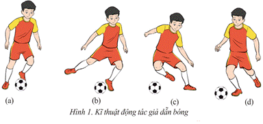 BÀI 3: KĨ THUẬT ĐỘNG TÁC GIẢ DẪN BÓNG